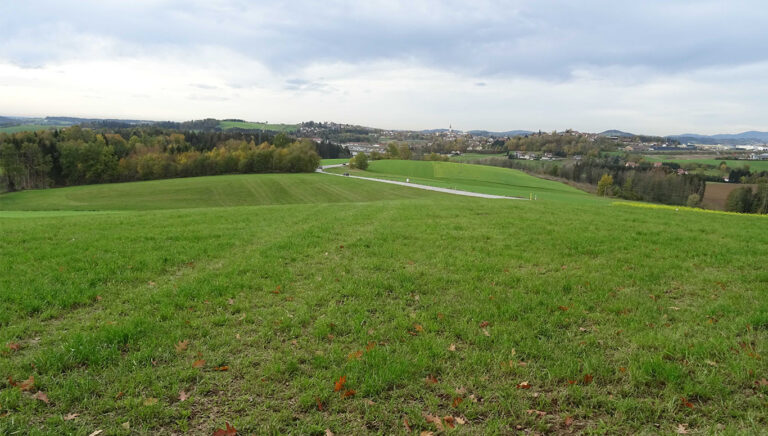 Gemeinde Büchlberg Katzendorfer Feld